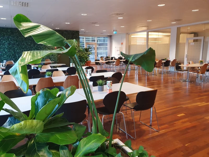 799_cd7dff5f-1076-42b8-a5cf-36ca50227058