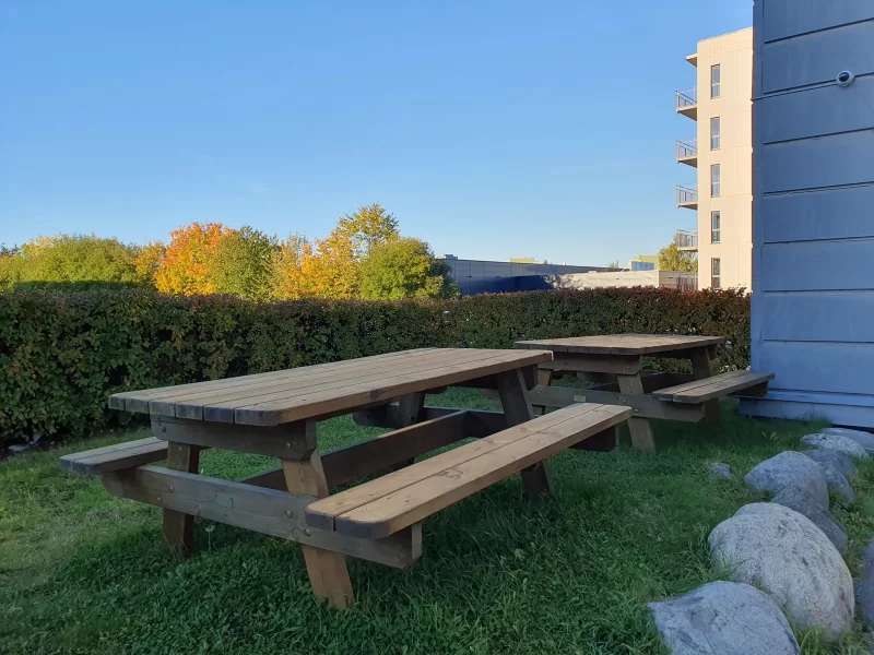 799_f8d0988c-41f9-4e6d-b4f5-8dd185646f5d